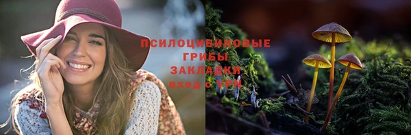 мяу мяу мука Навашино